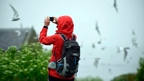 A visitor photographing birds on the Farne Islands, Northumberland
